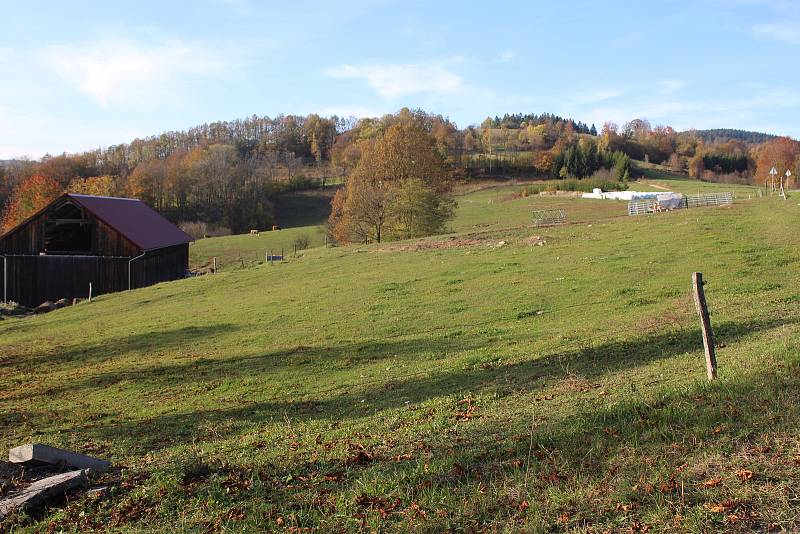 Farma, kde došlo k úhynu skotu. Podle policie šlo o zanedbání péče.