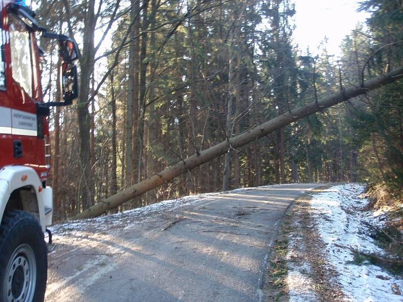 Hasiče včera ráno zaměstnaly pády stromů