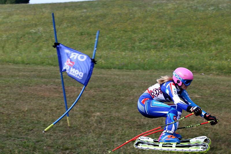 Juniorské mistrovství světa v travním lyžování 2019