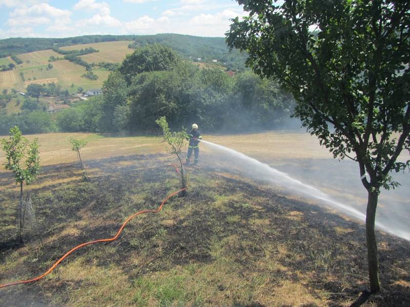 Vypalování trávy se zvrtlo v požár