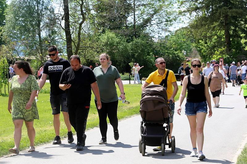 Slavnostní otevření Jaguar Trek v ZOO Lešná.