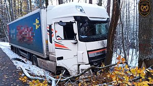 Kamion u Loučky na Zlínsku sjel z cesty a narazil do stromu.
