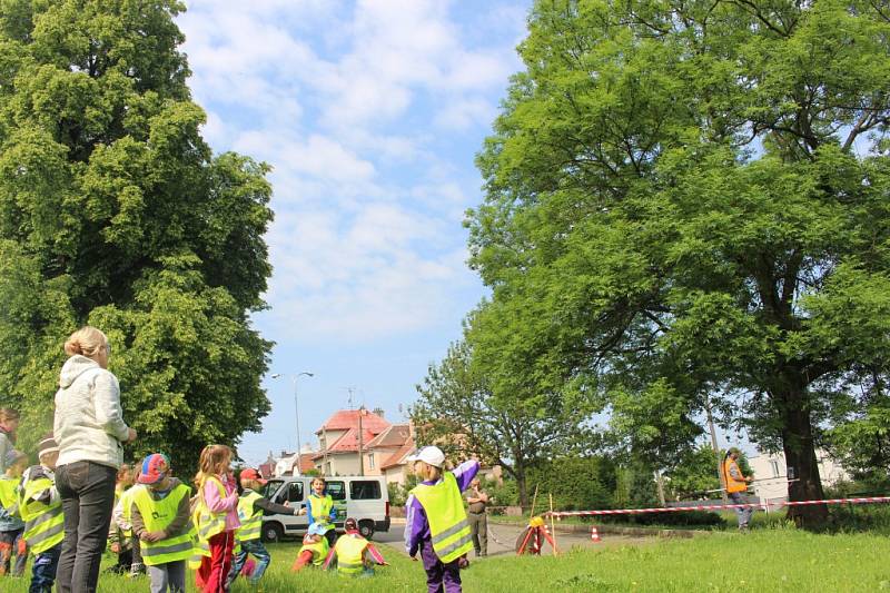 Největší zlínský jasan ošetřili stromolezci