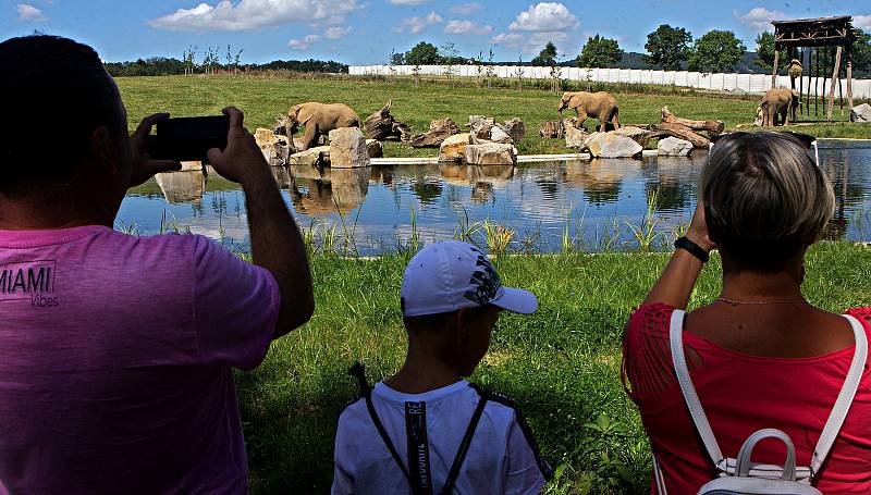 Nový výběh pro slony Karibuni ve zlínské zoo