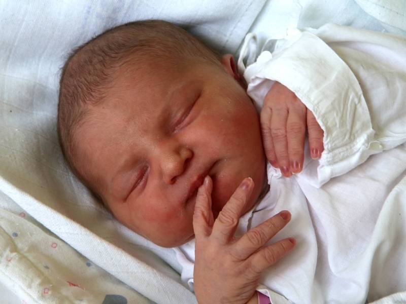 NATÁLIE JERENTÍKOVÁ, 16.5.2019, 3490 g, 49 cm, Březová