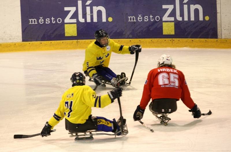 Mezinárodní sledge hokejový turnaj Baltaci cup 2O13 ve Zlíně.