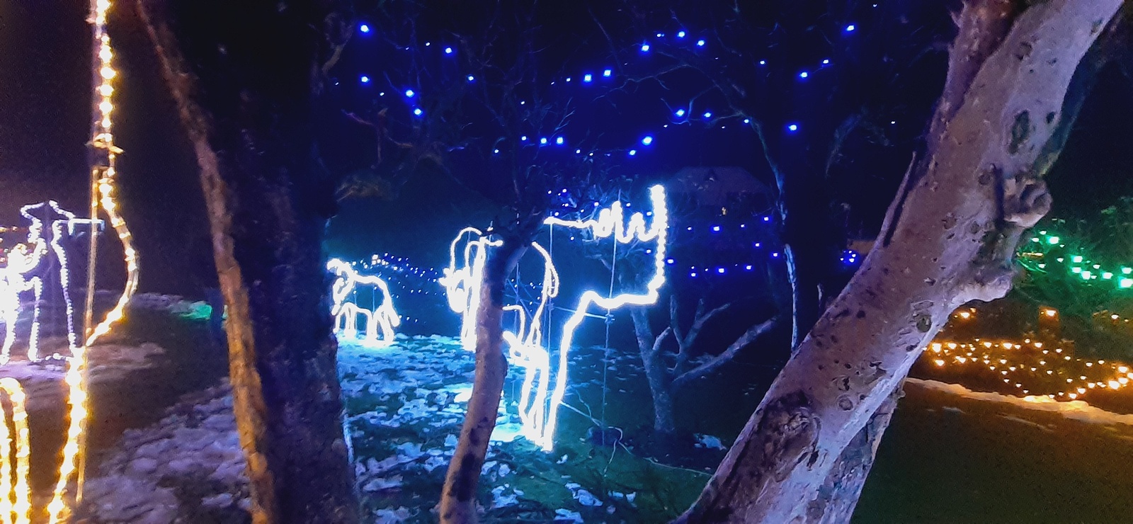 Okouzlující podívaná! Zoo z tisíců světýlek na Zlínsku láká lidi z celé  Moravy - Kroměřížský deník