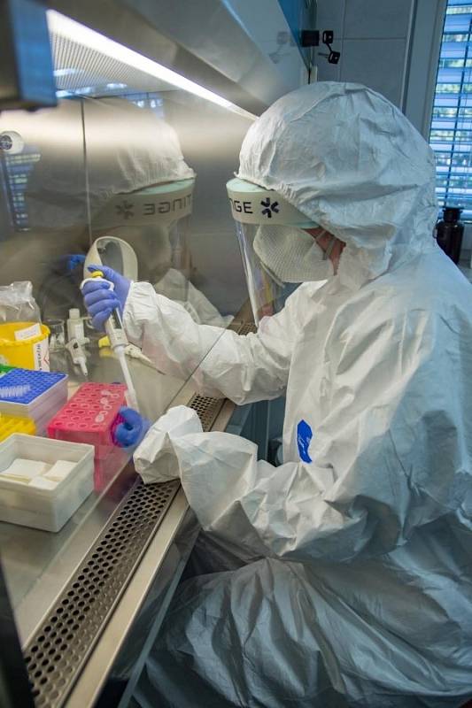 Mikrobiologická laboratoř zlínské nemocnice splnila v březnu přísné podmínky na kvalitu analyzování vzorků a mohla začít s testováním odebraných vzorků na koronavirus.