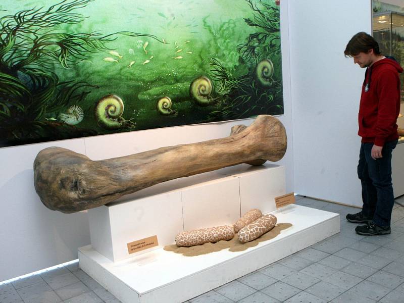 Výstava Cesta pravěkem v Muzeu jihovýchodní Moravy ve Zlíně.