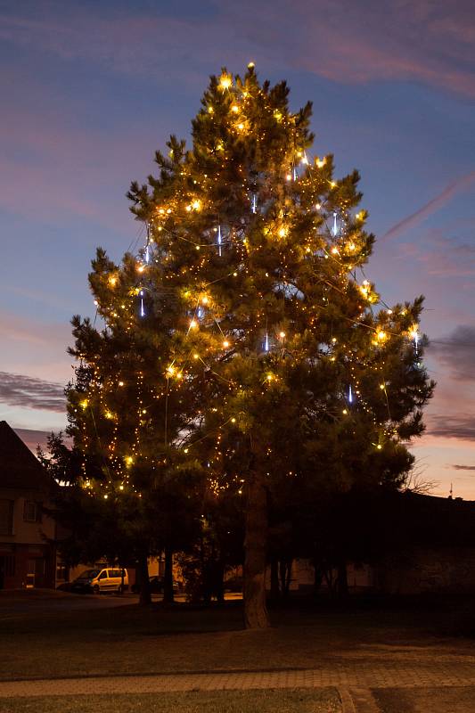 Vánoční strom v Dolním Němčí