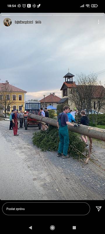 Letošní májka v Provodově měří okolo třiceti metrů.