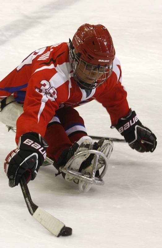 Sledge hokej - ČR vs. Korea