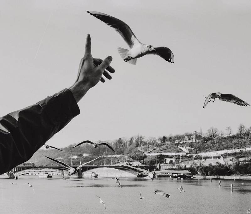 Fotografická tvorba Lucie Urbanové