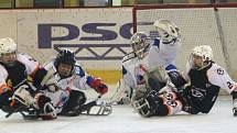 Ve Superfinále sledge hokejové ligy vyzval vítěz základní části Lapp Zlín (v černém) druhé Sharks Karlovy Vary.