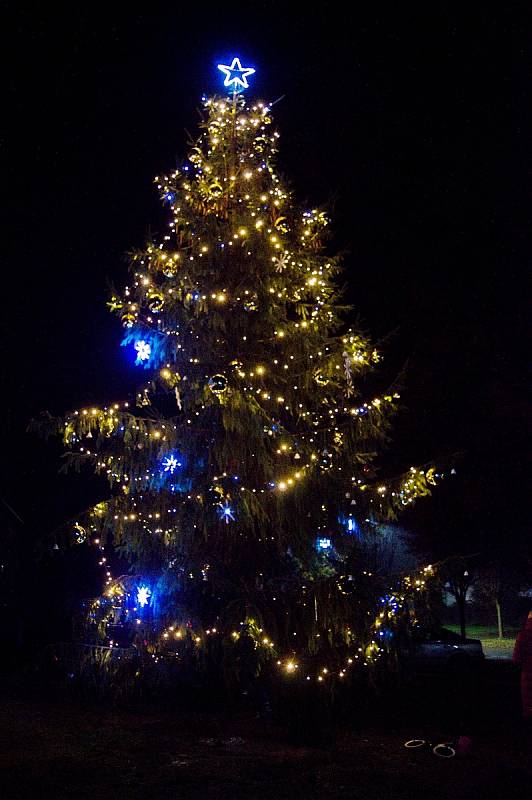 Vánoční strom v Kudlovicích.