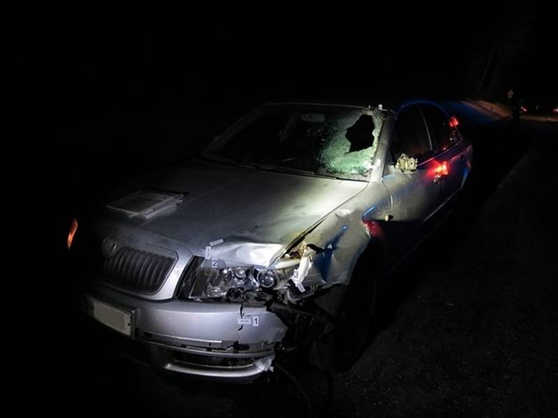 V sobotu 21. ledna 2017 srazilo auto cyklistku mezi Březnicí a Zlínem. Zraněním podlehla. 