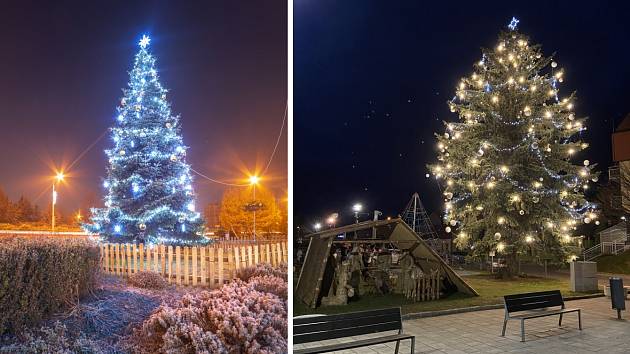 V anketě Deníku o nejkrásnější vánoční strom ve Zlínském kraji zvítězil krasavec z Otrokovic (na snímku vlevo), druhý skončil strom z Bojkovic (vpravo)