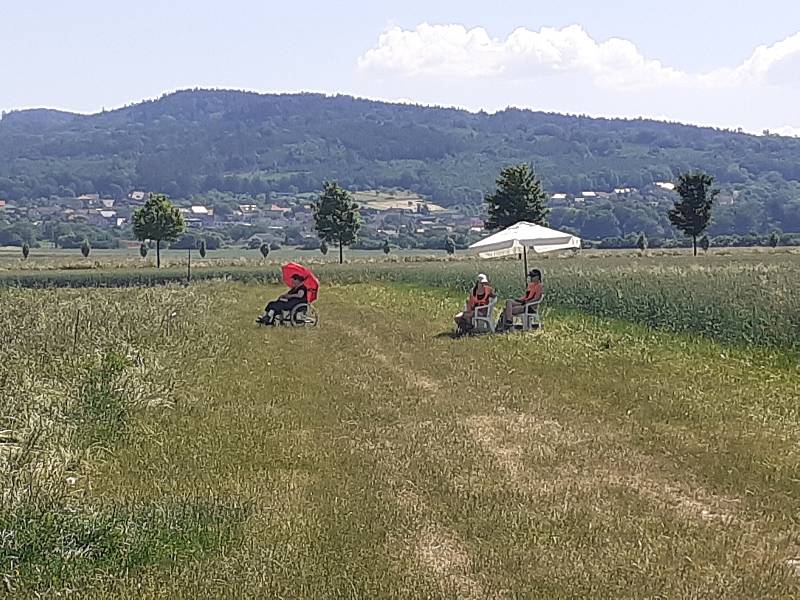 Samosběr jahod na Jahodové farmě v Holešově.