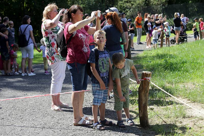 Nový výběh pro slony Karibuni ve zlínské zoo