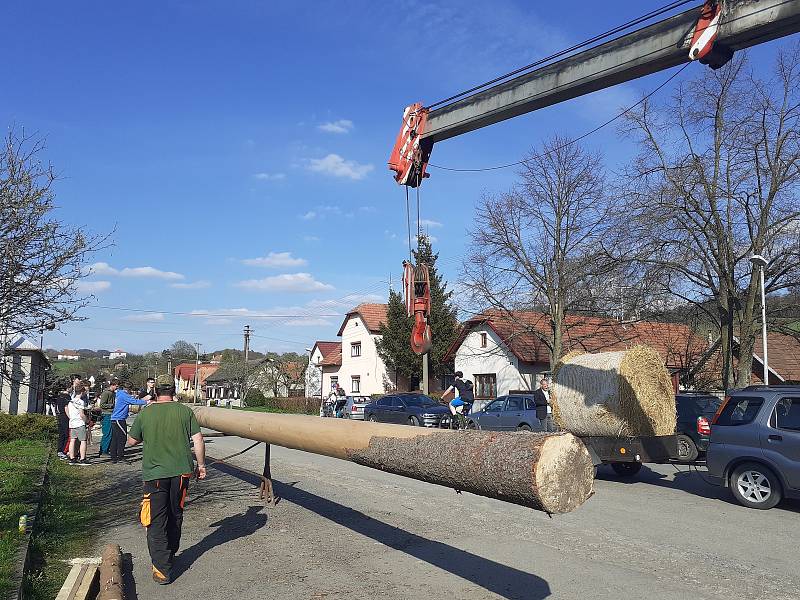 Stavění máje v obci Provodov na Zlínsku 30. dubna 2021.