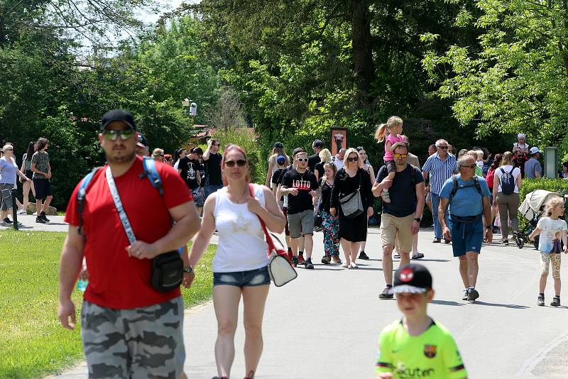 Slavnostní otevření Jaguar Trek v ZOO Lešná.