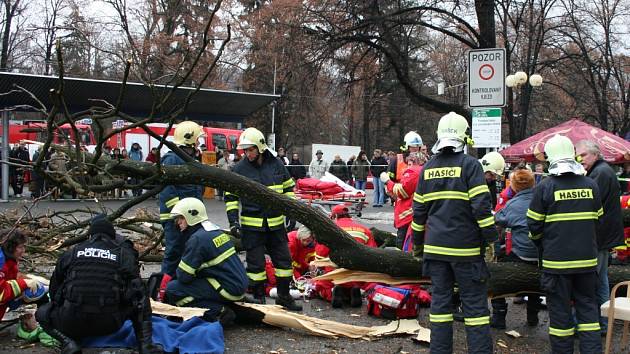 Vzrostlý strom zavalil několik lidí včetně malých dětí. 