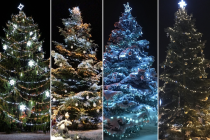 Nejkrásnější vánoční strom Zlínského kraje?