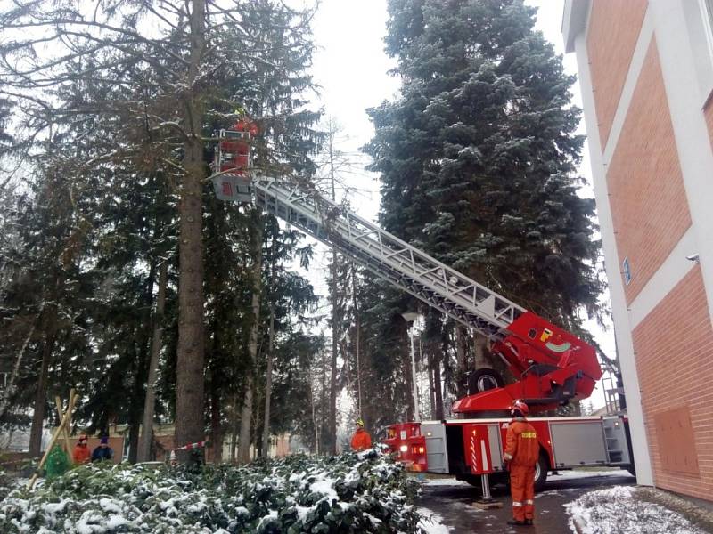 Odbornou přípravu s obsluhou motorové pily za ztížených podmínek absolvovali hasiči ze Zlína.