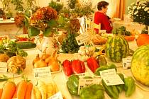 Výstava ovoce a zeleniny. Ilustrační foto