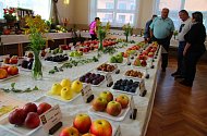 Okresní výstava ovoce a zeleniny v Machové.
