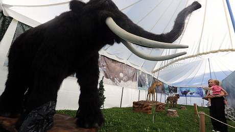 Výstava Doba ledová – lovci mamutů ve Zlíně.