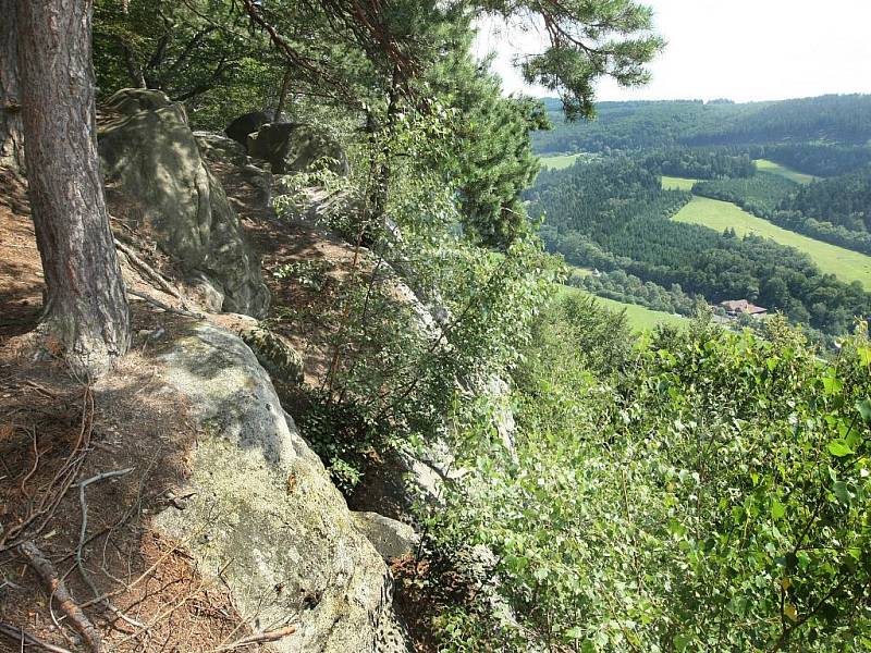 Pohled z vrcholu skalní stěny nad Držkovou