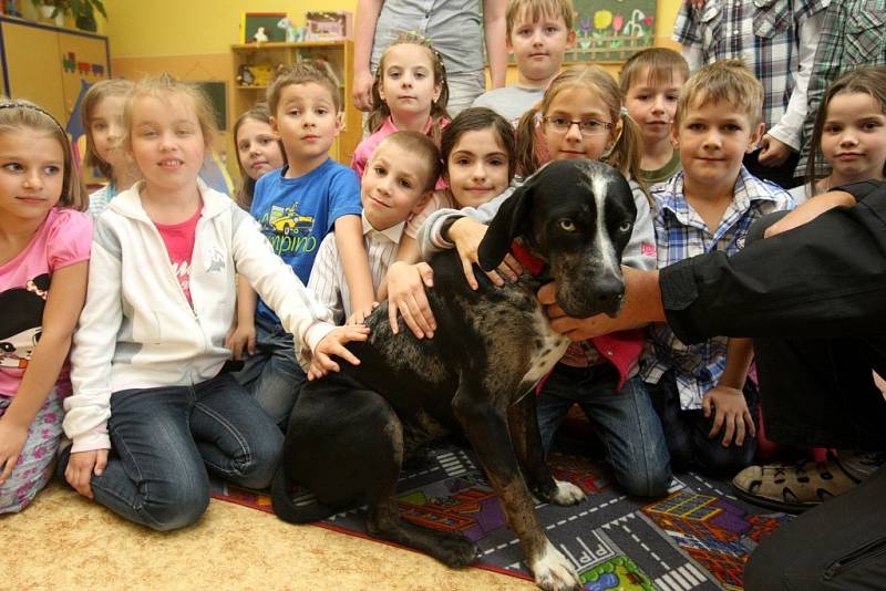 Ukázky canisterapie v základní škole Trávníky v Otrokovicích