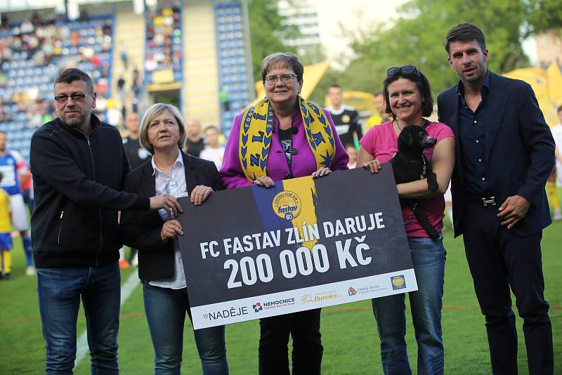 fotbal FC  FASTAV Zlín   - FK  Mladá Boleslav