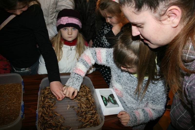 49. Mezinárodní entomologická výstava a výměnné dny v otrokovické Besedě.