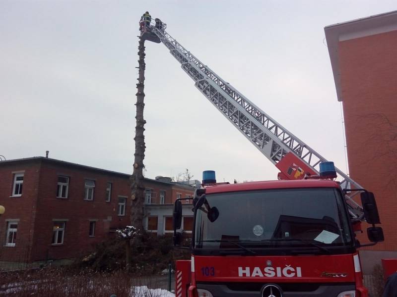 Odbornou přípravu s obsluhou motorové pily za ztížených podmínek absolvovali hasiči ze Zlína.