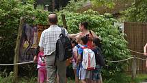 Veřejnost poprvé spatřila nově narozené mládě slona afrického. ZOO Lešná, Zlín.