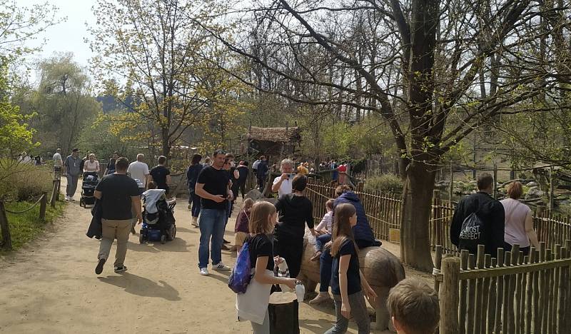První máj v Zoo Zlín