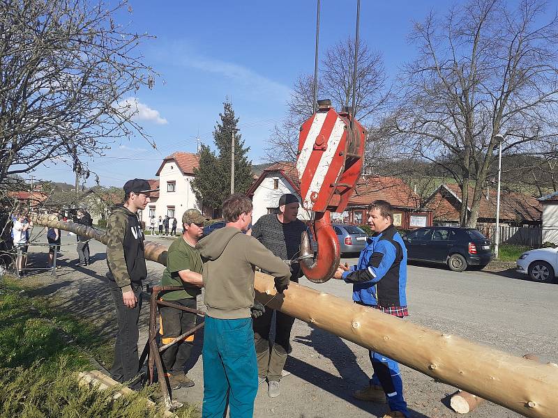 Stavění máje v obci Provodov na Zlínsku 30. dubna 2021.