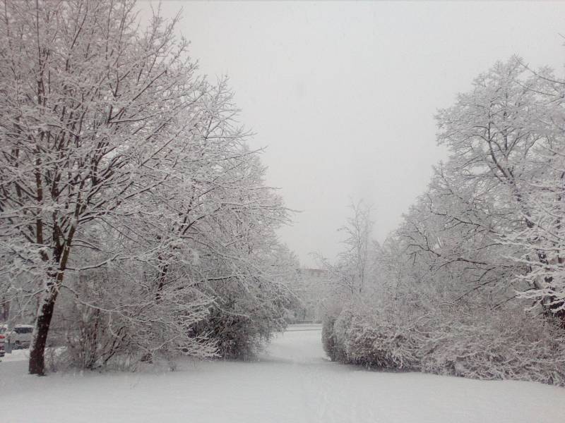 Sněžení ve Zlíně 28. 1. 2019