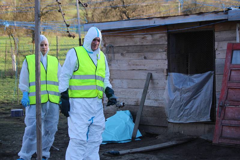 Newcastleská choroba, neboli pseudomor drůbeže se objevil v Šanově. Utraceno bylo již  70 slepic.