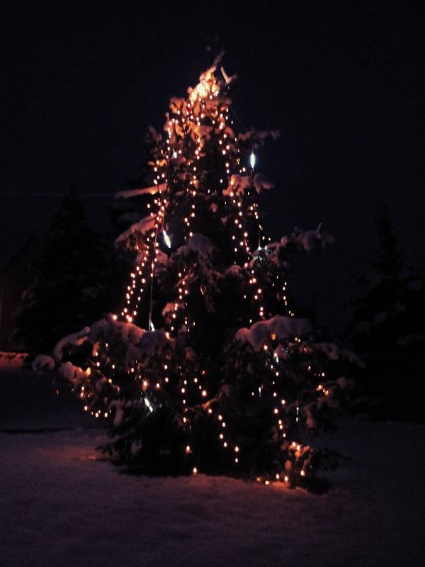Vánoční strom Rudice