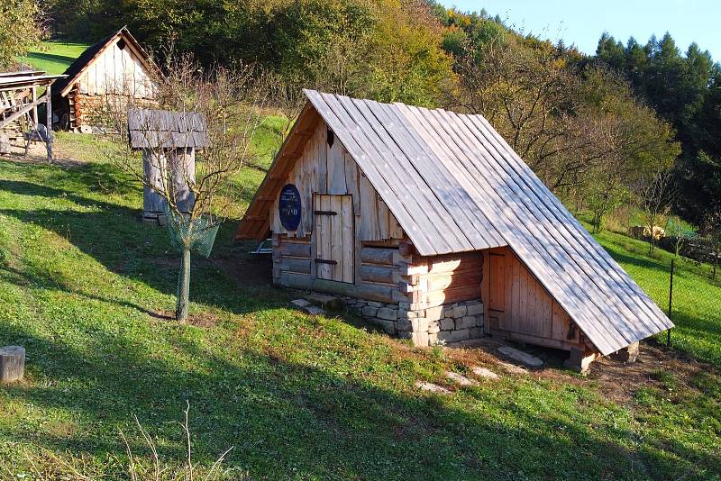 Život v obci Držková