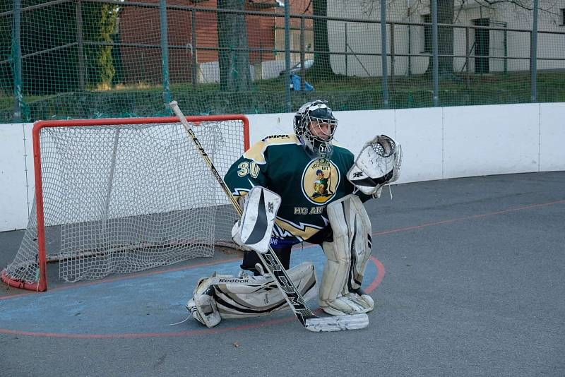 Silvestrovská hokejbalová exhibice v Malenovicích 2019