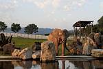 Lidé na sbírkové konto Zoo Zlín poslali téměř 200 000 Kč, zahrada část peněz využila pro výstavbu přístřešku v novém výběhu slonů