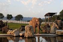 Lidé na sbírkové konto Zoo Zlín poslali téměř 200 000 Kč, zahrada část peněz využila pro výstavbu přístřešku v novém výběhu slonů