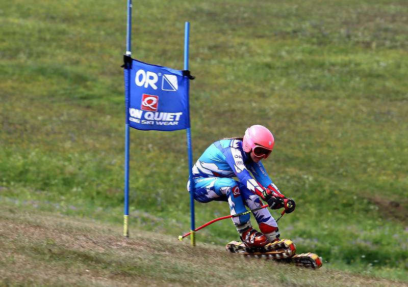 Juniorské mistrovství světa v travním lyžování 2019