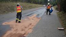 Pořádně kluzká past včera čekala na řidiče projíždějící Napajedly. V křižovatce ulic Palackého a Nábřeží se totiž asi sto metrů táhla olejová skvrna. Protože nebylo na první pohled zřejmé, o jakou látku jde, museli na místo vyjet hasiči.