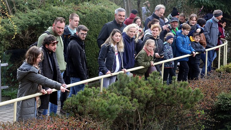 Zoo Zlín. Návštěvnost. Ilustrační foto.