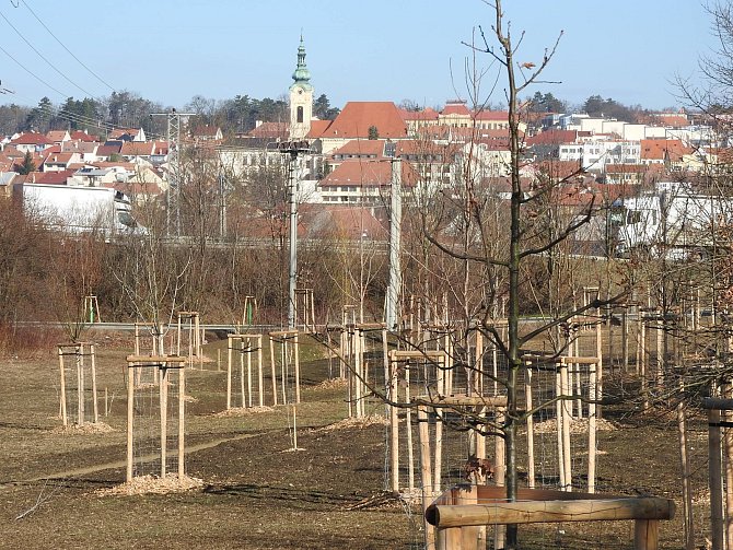 Přírodní park Škrlovec na okraji sídliště Olšava.